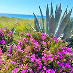 Patio Alcornocal By Residea