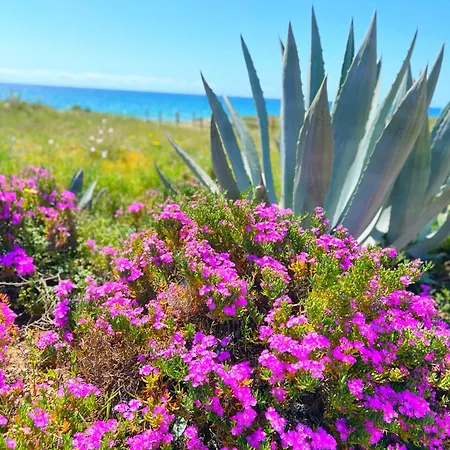 Patio Alcornocal By Residea