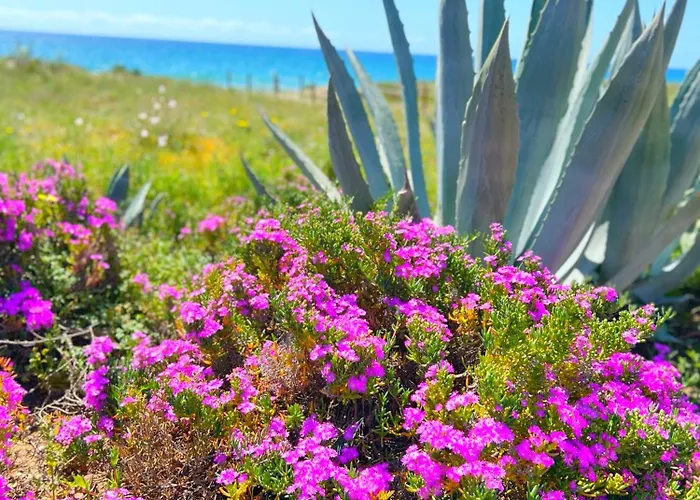 Patio Alcornocal By Residea